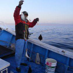 芳陽丸 釣果