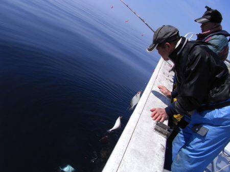 芳陽丸 釣果