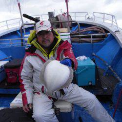 芳陽丸 釣果