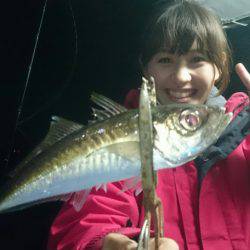 シースナイパー海龍 釣果