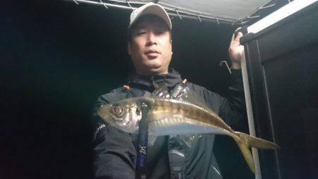 シースナイパー海龍 釣果