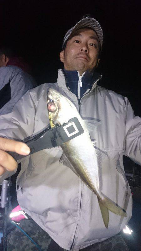 シースナイパー海龍 釣果