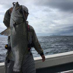 第八 源洋丸 釣果