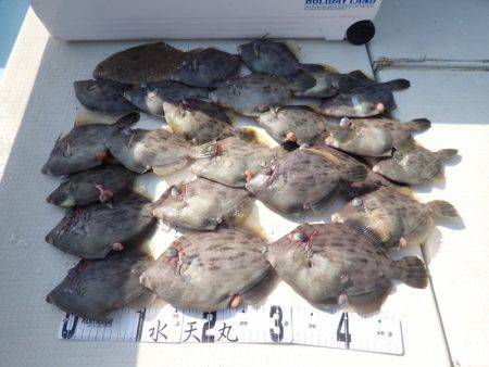 水天丸 釣果
