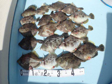 水天丸 釣果