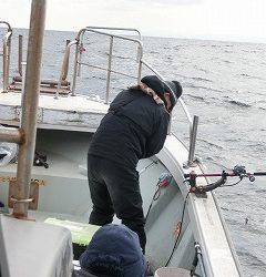 第二清洋丸 釣果