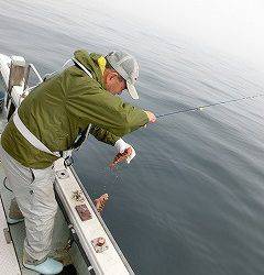 第二清洋丸 釣果