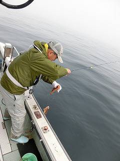 第二清洋丸 釣果