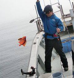 第二清洋丸 釣果