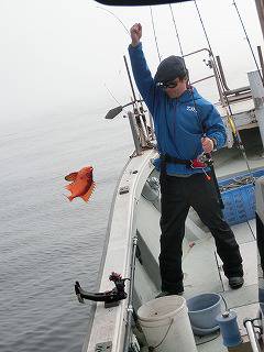 第二清洋丸 釣果