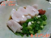 KONAYAーMARU(こなや丸) 釣果