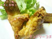 KONAYAーMARU(こなや丸) 釣果