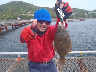 須磨海づり公園　釣果