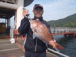 須磨海づり公園　釣果