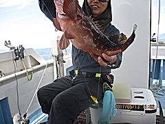 遊漁船 未紗奈 釣果