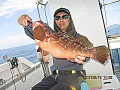 遊漁船 未紗奈 釣果