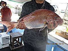 遊漁船 未紗奈 釣果