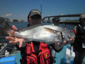 美咲丸 釣果