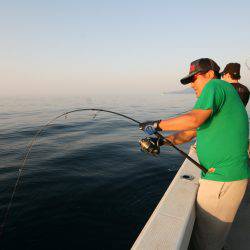 オーシャンズ　京都 釣果