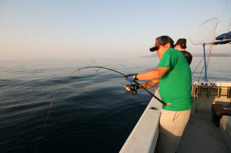 オーシャンズ　京都 釣果