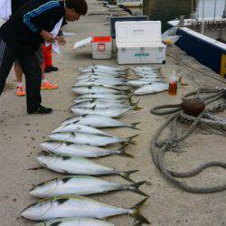 ジギング船 BLUEWATER 釣果