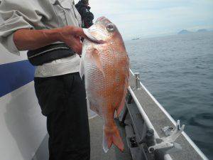 美咲丸 釣果