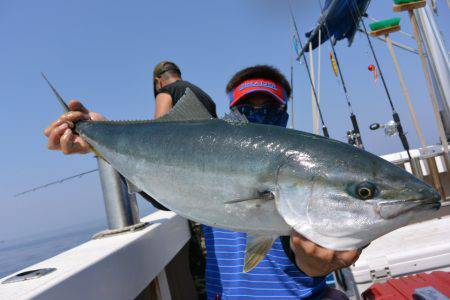 ジギング船 BLUEWATER 釣果