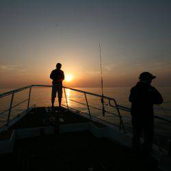 オーシャンズ　京都 釣果