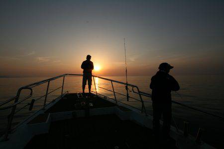 オーシャンズ　京都 釣果