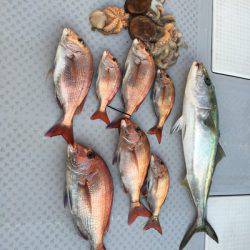 ミタチ丸 釣果