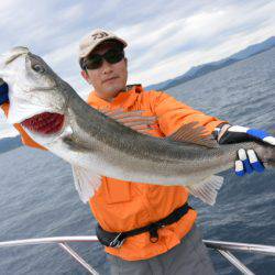 ジギング船 BLUEWATER 釣果