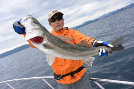 ジギング船 BLUEWATER 釣果