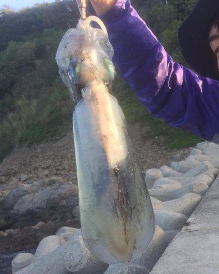 方杭漁港で初春イカ