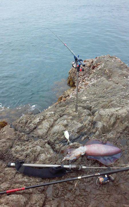 アオリイカヤエン釣行！