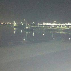 シーバスからのメバル