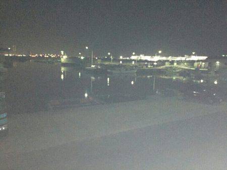 シーバスからのメバル