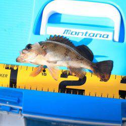 土曜の昼から翌朝方にかけて