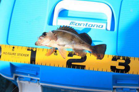 土曜の昼から翌朝方にかけて