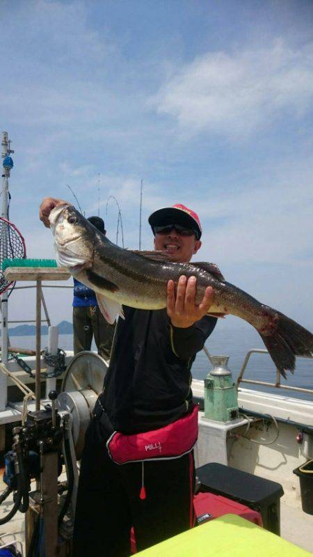 白身三昧リベンジ