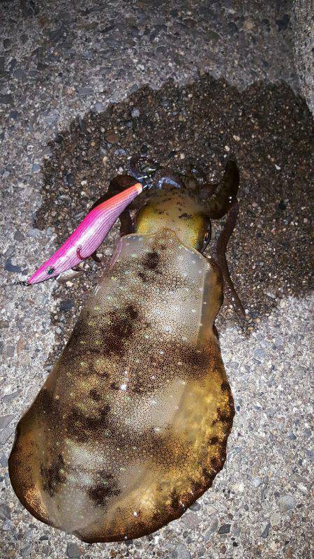 夢のキロUPを求めてpart2‼