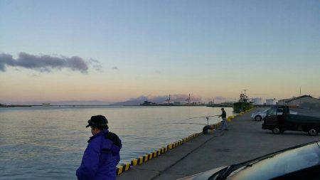 秋田市中島ふ頭でアジ