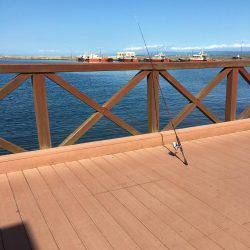 メバルロッドでちょい投げ