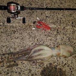 オクトパッシング。