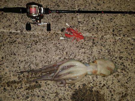 オクトパッシング。