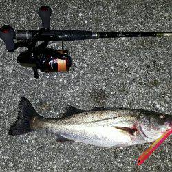 バチパターン炸裂???