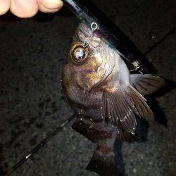 バチパターンやけど‼