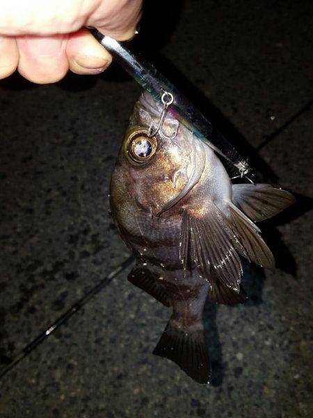 バチパターンやけど‼