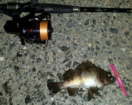 バチパターンで！！！