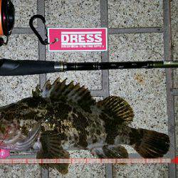 ロックロックこんばんわ‼