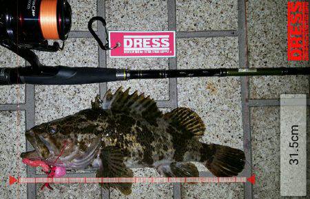 ロックロックこんばんわ‼